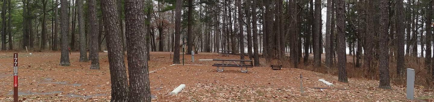 picnic table and fire pit to the left of camp pad, electric, water, sewer, and extra parking to the right of pad.