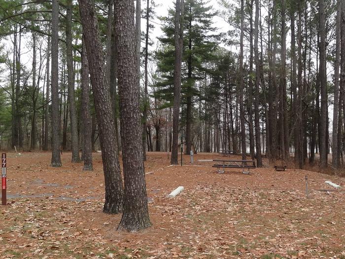 picnic table and fire pit to the left of camp pad, electric, water, sewer, and extra parking to the right of pad.