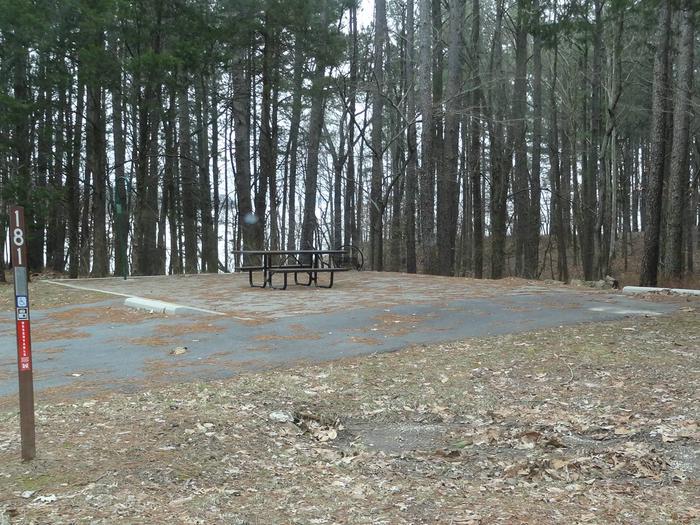 picnic table and fire pit to the left of camp pad, electric, water, and sewer to the right of pad.