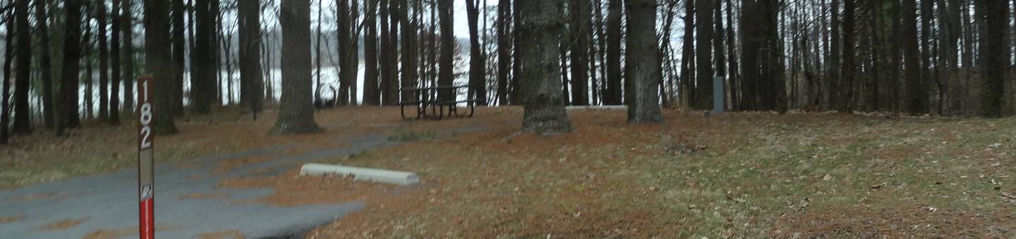 picnic table and fire pit to the left of camp pad, electric, water, sewer, and extra parking to the right of pad.