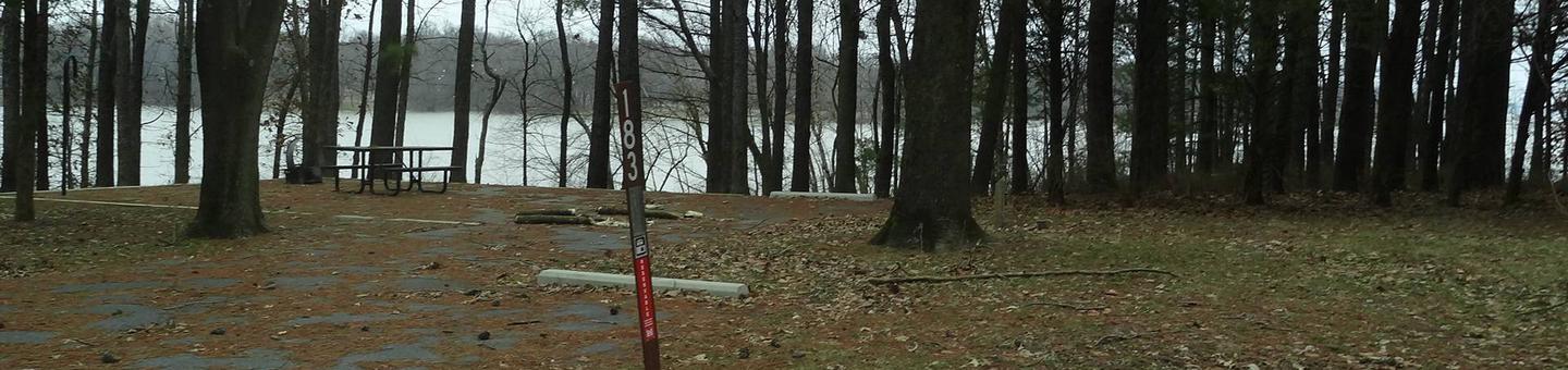 picnic table and fire pit to the left of camp pad, electric, water, sewer, and extra parking to the right of pad.