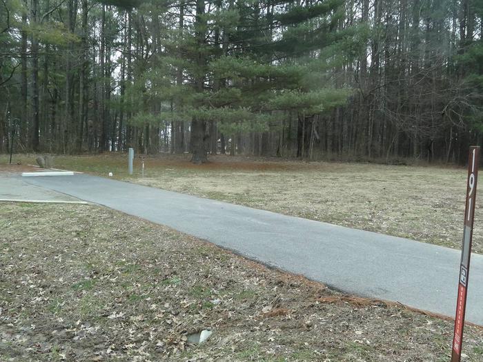 picnic table and fire pit to the left of camp pad, electric, water, sewer, and extra parking to the right of pad.