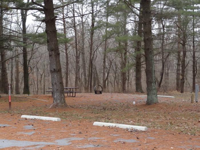 picnic table and fire pit to the left of camp pad, electric, water, sewer, and extra parking to the right of pad.