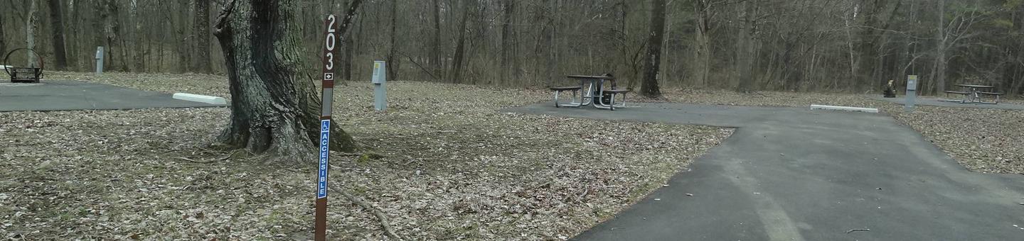 picnic table and fire pit to the left of camp pad, electric and extra parking to the right of pad.