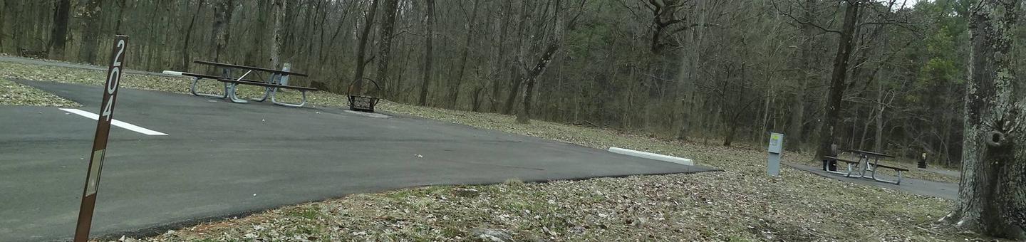 picnic table, fire pit, and extra parking to the left of camp pad, electric to the right of pad.