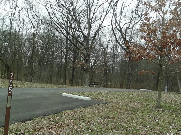 picnic table and fire pit to the left of camp pad, electric and extra parking to the right of pad.