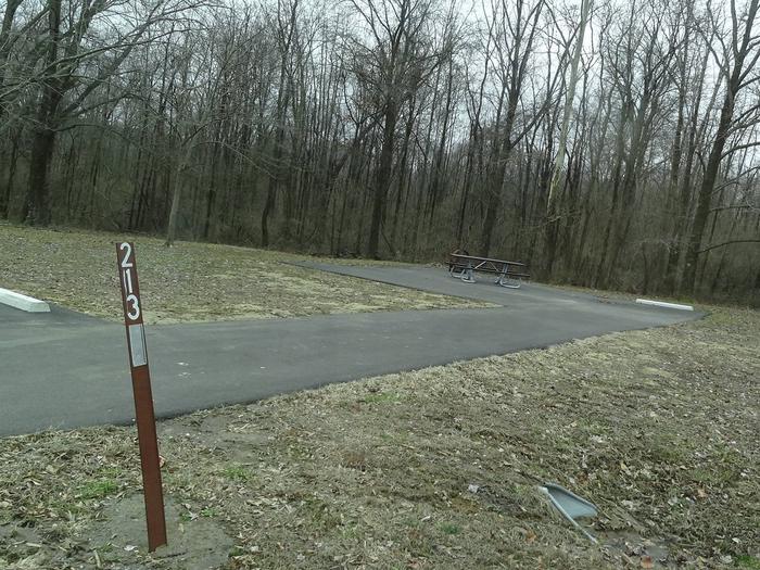 picnic table, fire pit, and extra parking to the left of camp pad, electric to the right of pad.