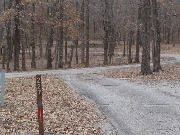 Pull through type site with picnic table and fire pit on the right of camp pad, electric on left of camp pad