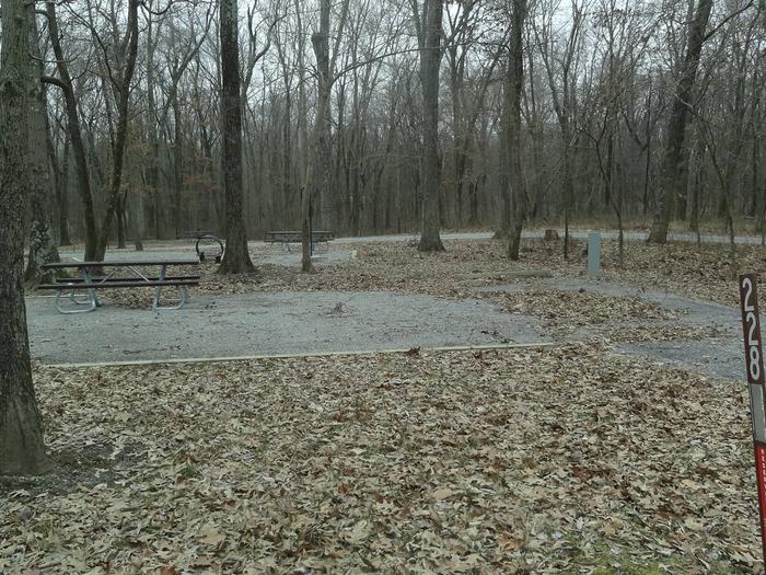 picnic table and fire pit to the left of camp pad, electric to the right of pad.