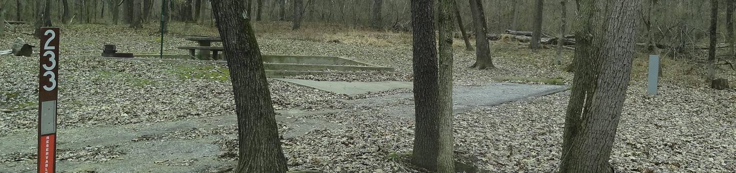 picnic table and fire pit to the left of camp pad, electric to the right of pad.