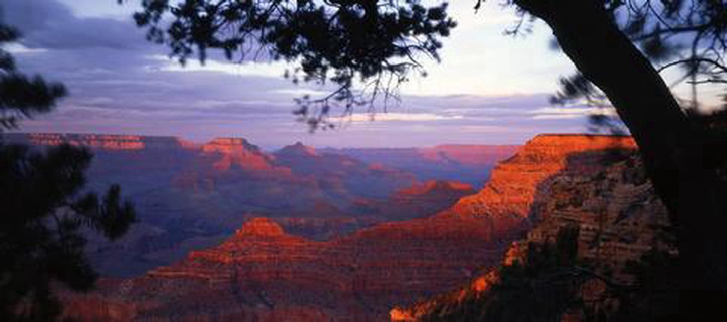 The Grand CanyonHiking, horseback riding, wildlife viewing and more are all available in Grand Canyon National Park.