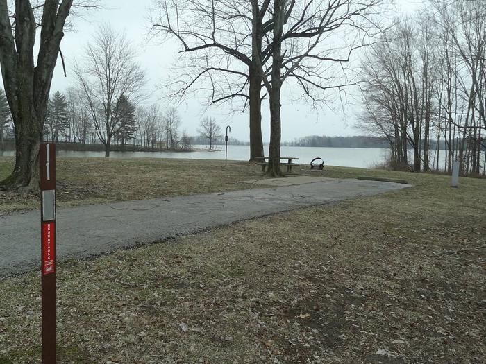 picnic table and fire pit to the left of camp pad, electric to the right of pad.