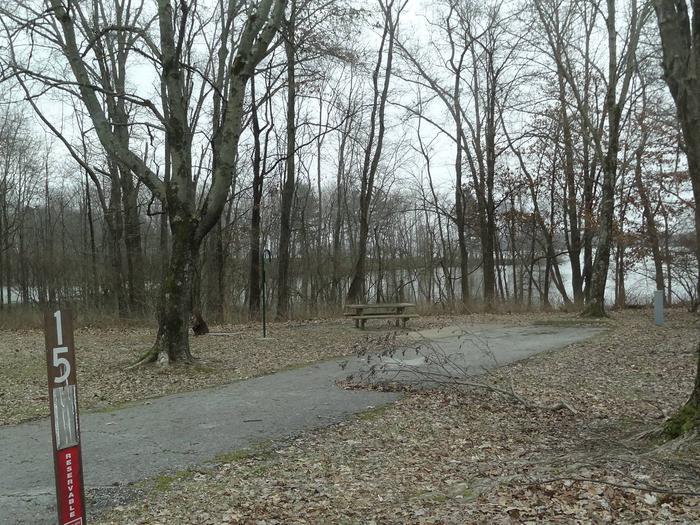 picnic table and fire pit to the left of camp pad, electric to the right of pad.