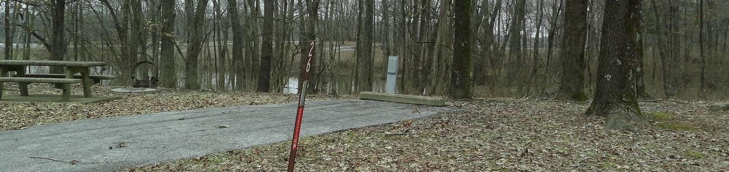 picnic table and fire pit to the left of camp pad, electric to the right of pad.