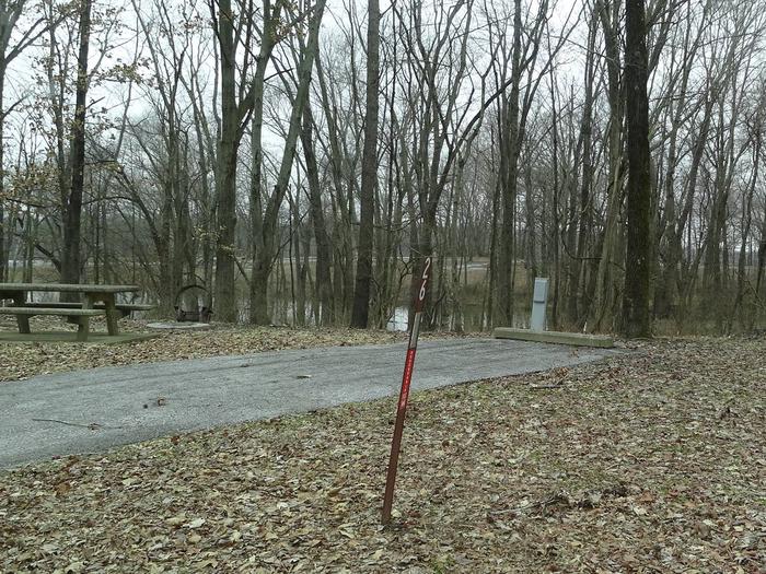 picnic table and fire pit to the left of camp pad, electric to the right of pad.