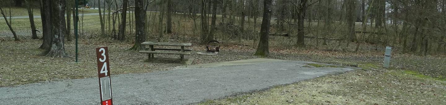 picnic table and fire pit to the left of camp pad, electric to the right of pad.