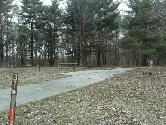 picnic table and fire pit to the left of camp pad, electric, water, and sewer to the right of pad.