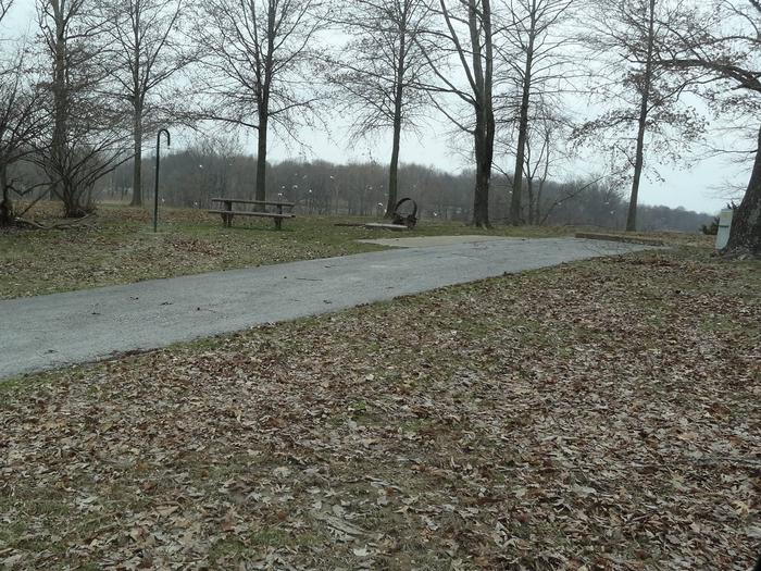 picnic table and fire pit to the left of camp pad, electric to the right of pad.