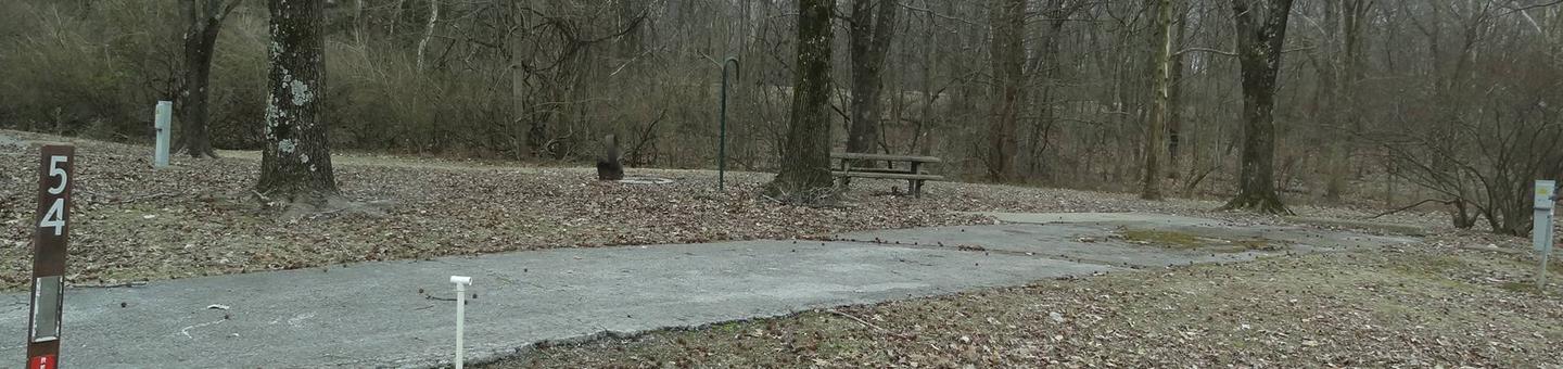 picnic table and fire pit to the left of camp pad, electric, water, and sewer to the right of pad.