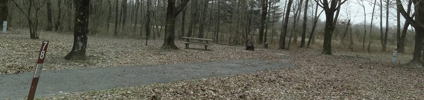 picnic table and fire pit to the left of camp pad, electric to the right of pad.