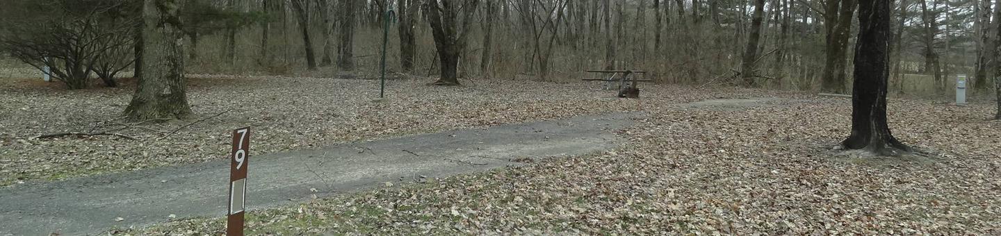 picnic table and fire pit to the left of camp pad, electric to the right of pad.