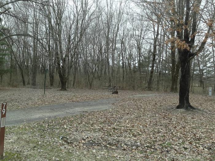 picnic table and fire pit to the left of camp pad, electric to the right of pad.