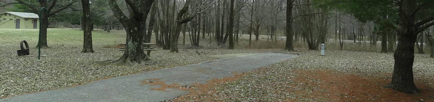 picnic table and fire pit to the left of camp pad, electric to the right of pad.