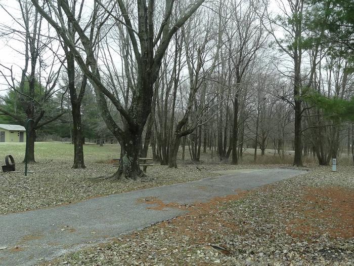 picnic table and fire pit to the left of camp pad, electric to the right of pad.