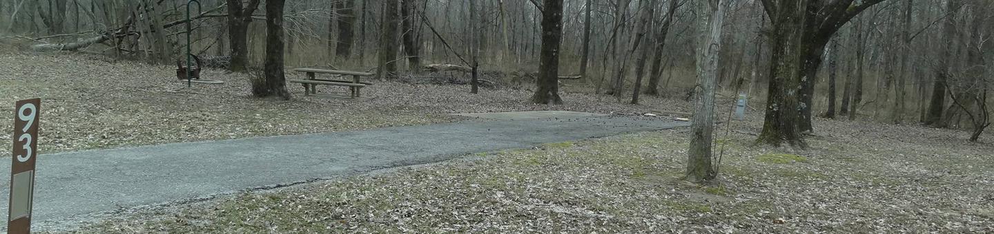 picnic table and fire pit to the left of camp pad, electric to the right of pad.