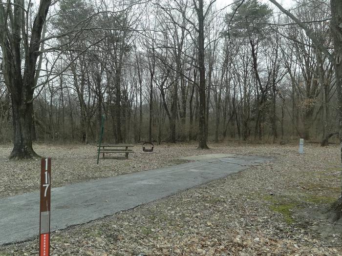 picnic table and fire pit to the left of camp pad, electric to the right of pad.