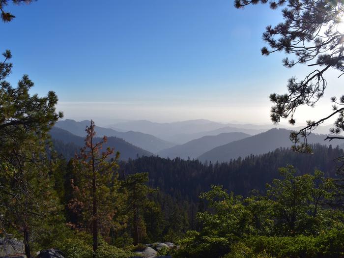 Sequoia National Forest