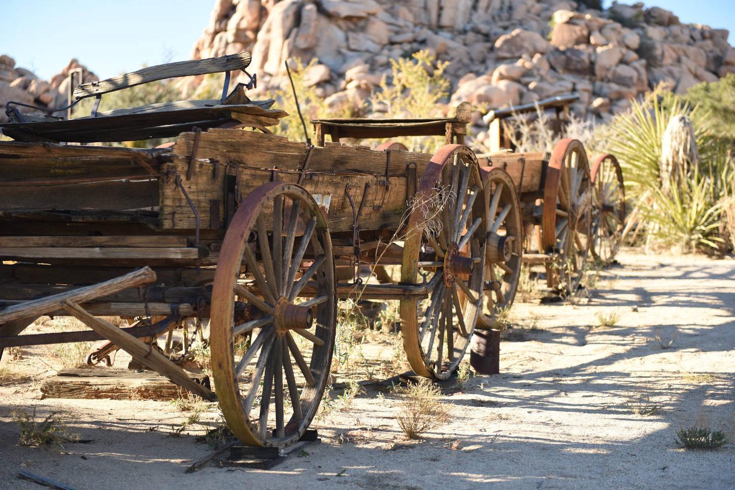 A line of old wooden wagons on the grounds of the ranch.How would you survive out in the desert, isolated from your favorite stores and restaurants?
