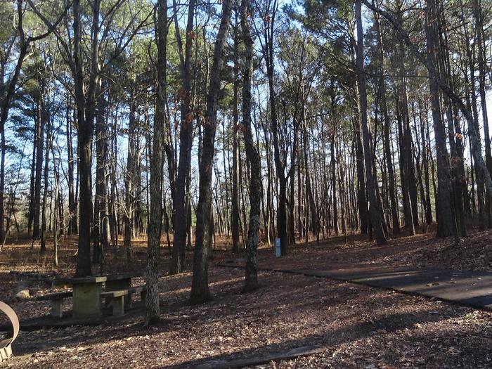 This site has a picnic table and fire pit located on the left side of the pad with hookups located on the right. There are a lot of trees to provide shade.