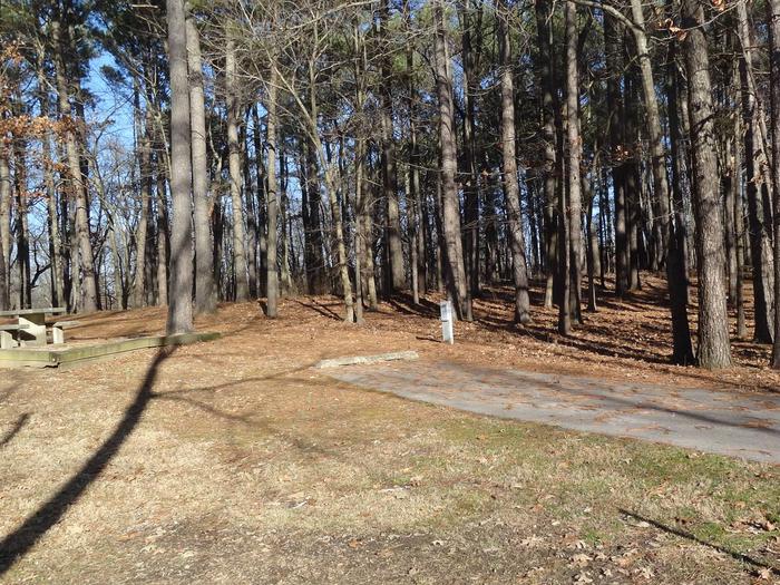  This site has many trees surrounding it, providing lots of shade. The fire pit and picnic table are located on the left side of the paved pad. Hookups are on the right side. 