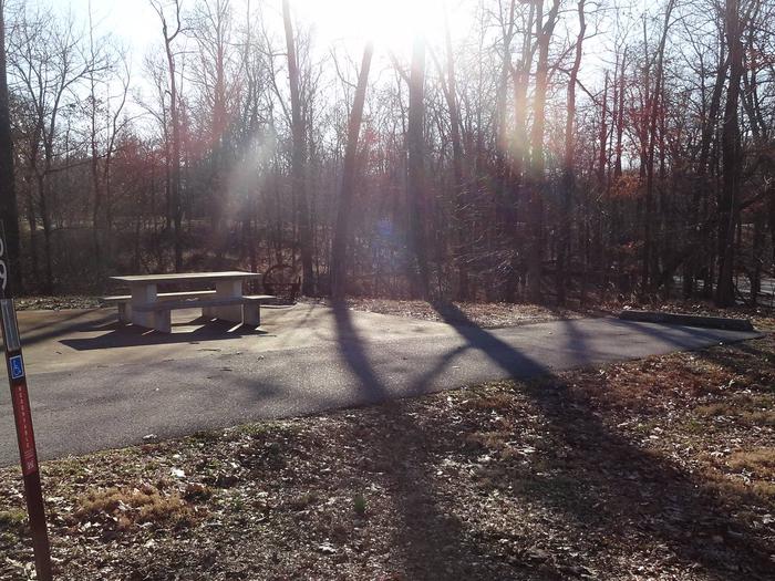 This site is handicap accessible. The picnic table and fire pit are located on the left side. Electric hookup is on the right.  