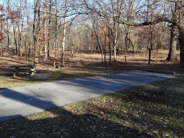 This site has a picnic table and fire pit located on the left side of the paved parking/camping pad. The electric hookup is on the right side of the pad. There are a lot trees on the site providing shade.