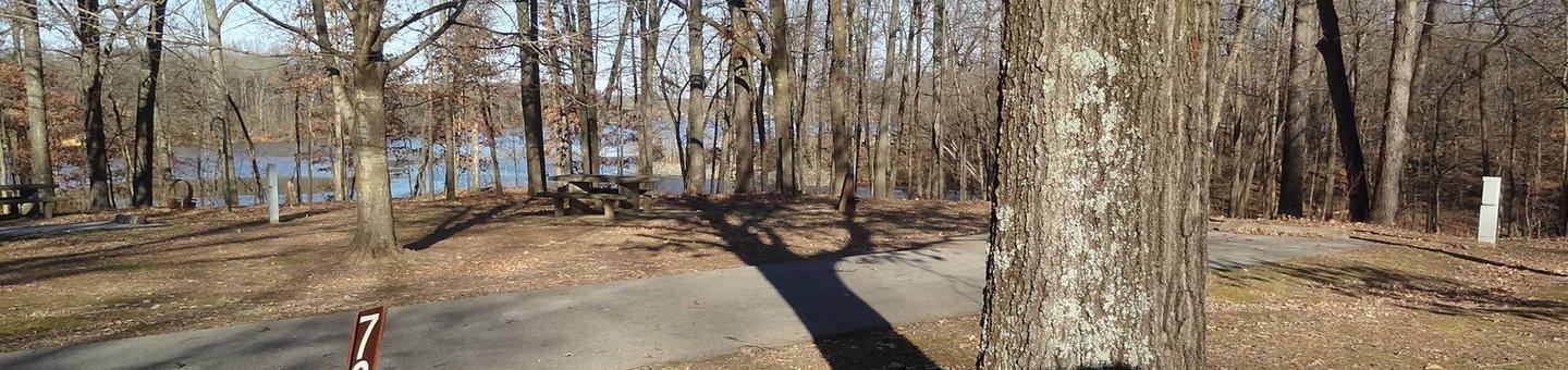 This site is near the waters edge providing a great view. Electricity hookup is on the right. The picnic table and fire pit are on the left side of the paved parking/camping pad. 