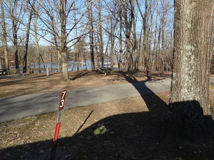 This site is near the waters edge providing a great view. Electricity hookup is on the right. The picnic table and fire pit are on the left side of the paved parking/camping pad. 