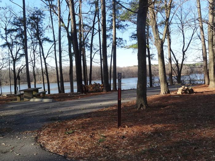 This site has a picnic table and fire pit to the left side of the paved parking/camping pad. The hookups are on the right side of the pad. There is a tree line on the right side of the pad also. 