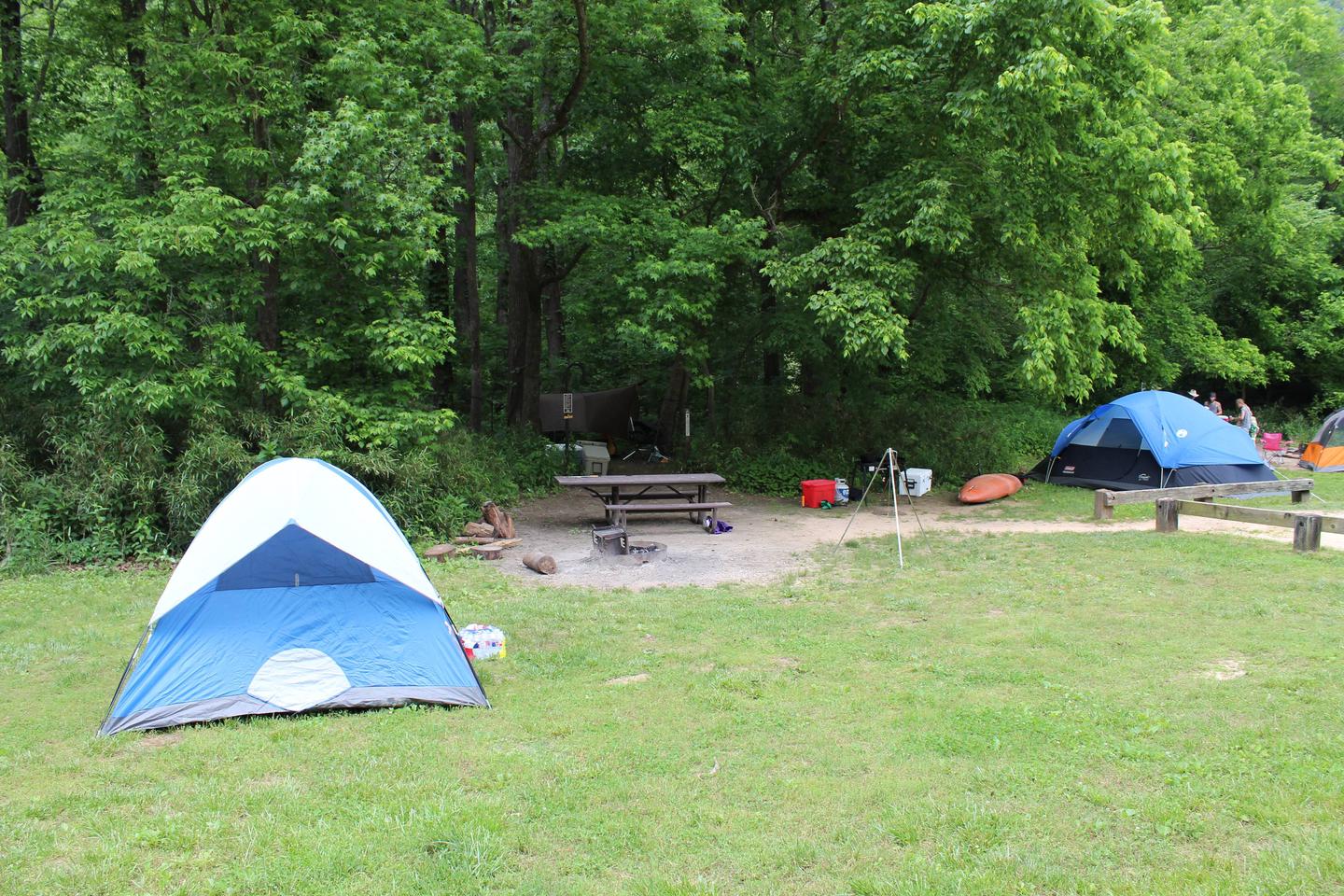 Steel Creek Camp Site #24 (photo 1)Steel Creek Camp Site #24