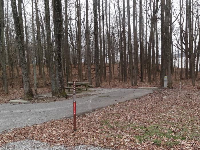 picnic table, fire pit, and extra parking to the left of camp pad, electric, water, and sewer to the right of pad.