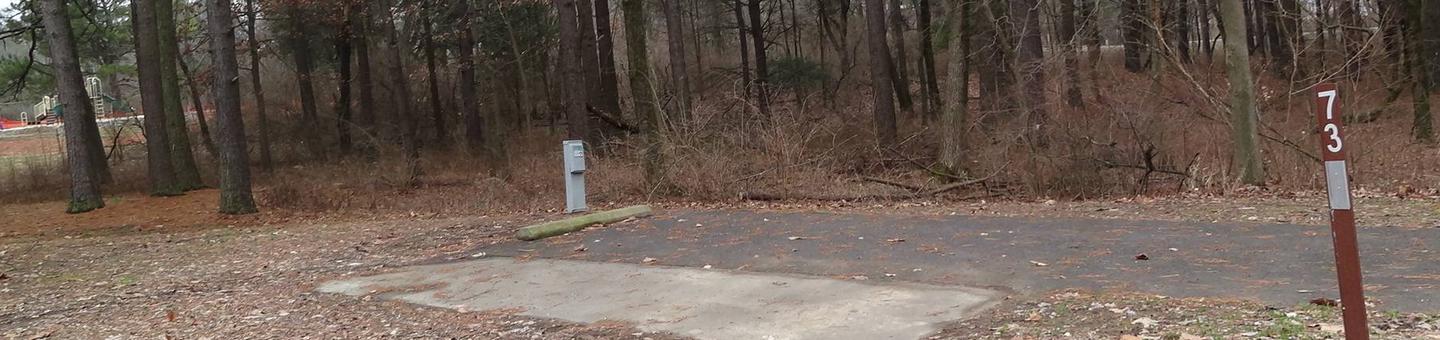 This site is nestled in the trees with the picnic table and fire pit on the left side of the paved parking/camping pad and the hookups located on the right side of the pad. 