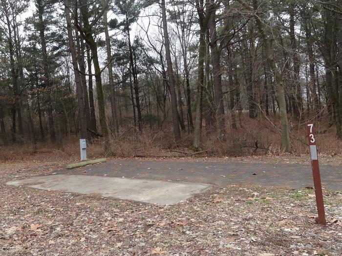 This site is nestled in the trees with the picnic table and fire pit on the left side of the paved parking/camping pad and the hookups located on the right side of the pad. 