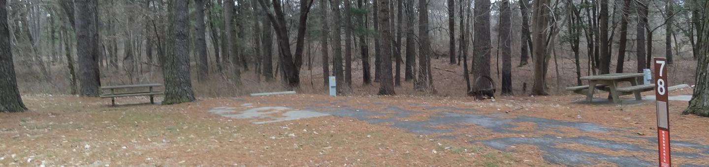 This site is nestled in the tree line with the picnic table and fire pit located on the left side of the paved parking/camping pad and the hookups are located to the right of the pad. 