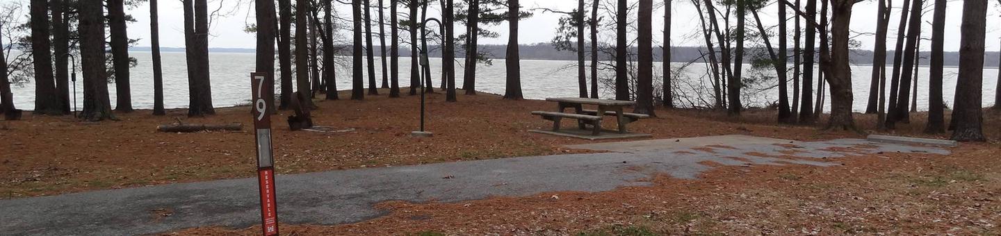 This site is nestled in the tree line with  a great view of the lake and the picnic table and fire pit located on the left side of the paved parking/camping pad and the hookups are located to the right of the pad. 
