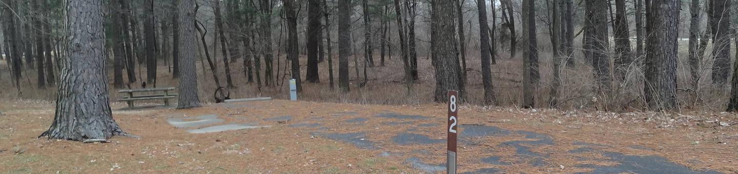 This site is nestled in a tree line with the picnic table and fire pit located on the left side of the paved parking/camping pad and the hookups are located to the right of the pad. 