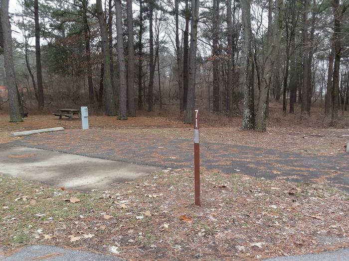 picnic table and fire pit to the left of camp pad, electric and extra parking to the right of pad.