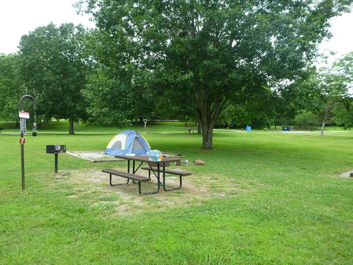 Tyler Bend Main Loop Site# 7Site #7, 50" back-in, tent pad 15' x 15'. Parking area is wide enough for RV & car to park side by side.