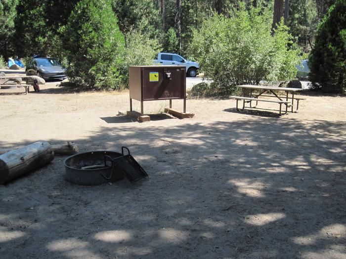 Food locker, picnic table, and fire ringSite 56