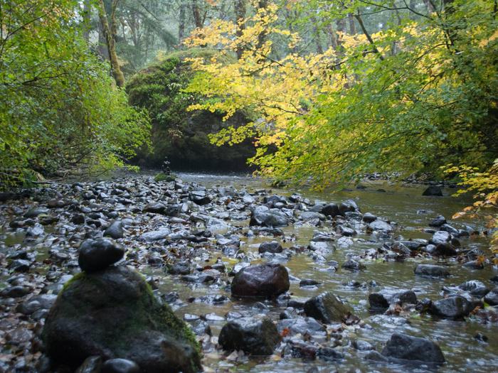Preview photo of Big Creek (Gifford Pinchot National Forest, WA)